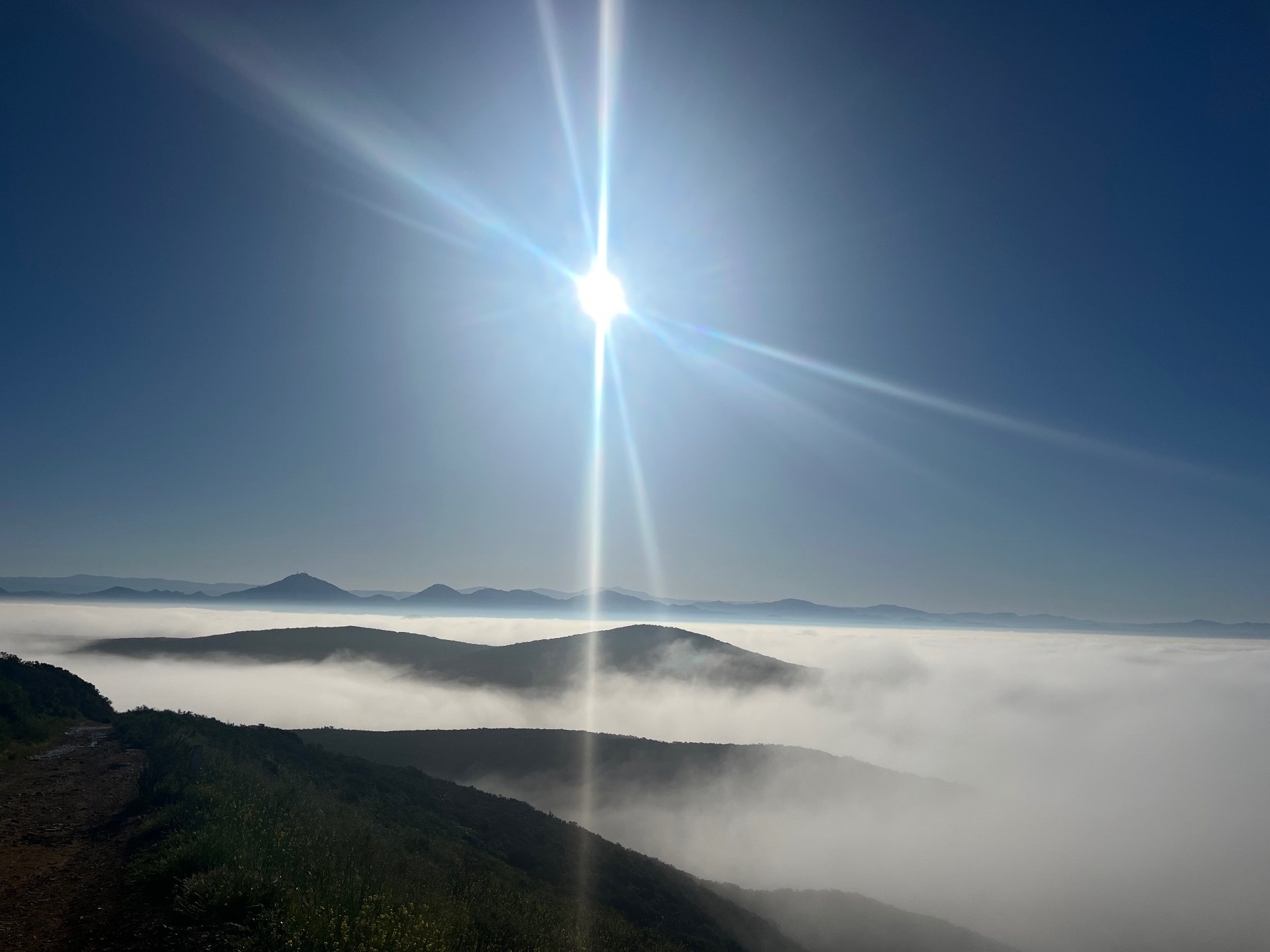 Blick über ein Nebelmeer zwischen Bergkämmen im Morgenlicht